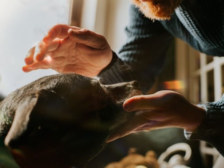 getty_1472847229_thumb_732x549